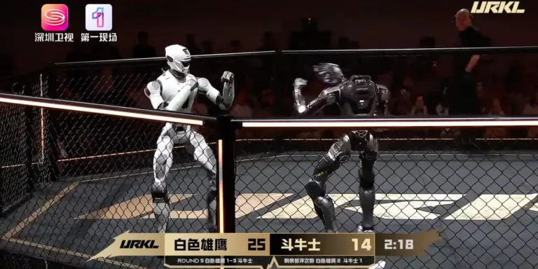impactante-combate-de-robots-humanoides